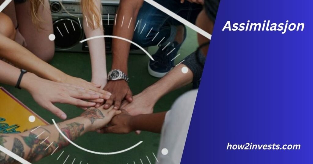 Assimilasjon